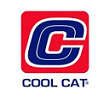 Cool Cat
