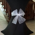 statafel_statafelrok_stretch_zwart_organza_strik_wit